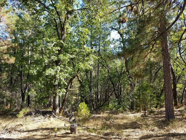 view of landscape