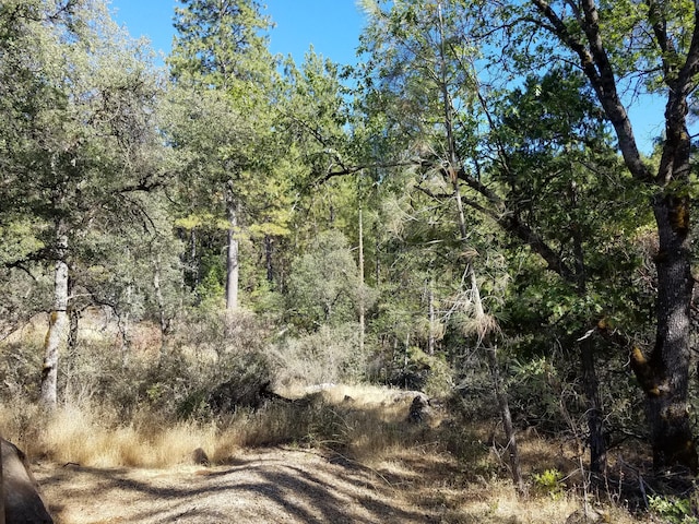 7414 Albers Forest Dr, Shingletown, CA 96088 - view of local wilderness with a wooded view