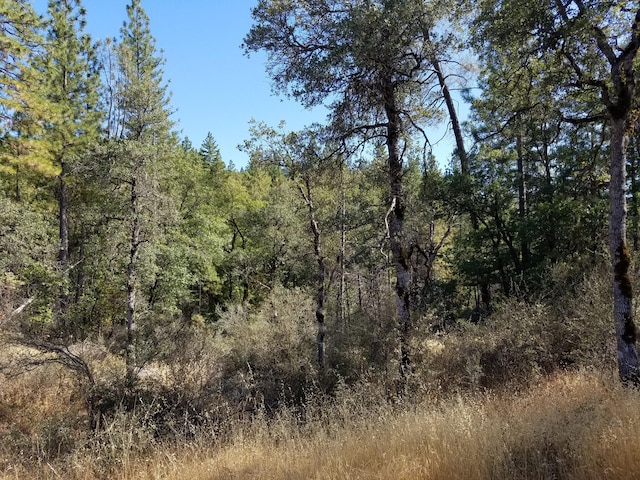 7414 Albers Forest Dr, Shingletown, CA 96088 - view of local wilderness with a wooded view