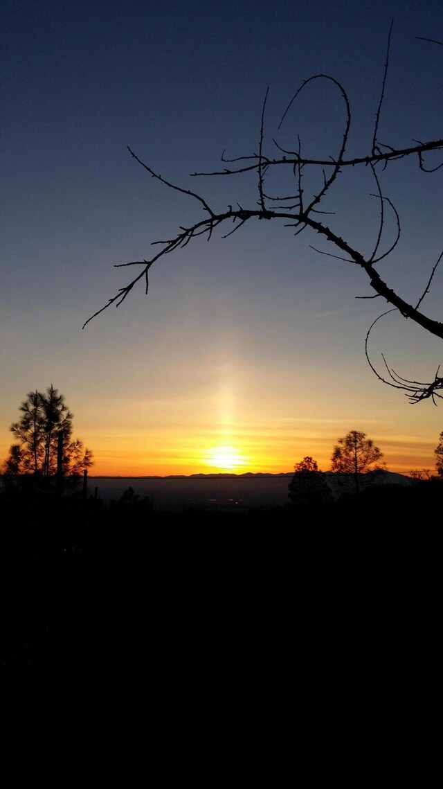 view of nature at dusk