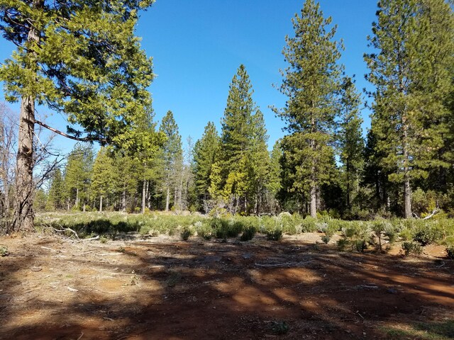 LOT32 Shingle Glen Trl, Shingletown CA, 96088 land for sale