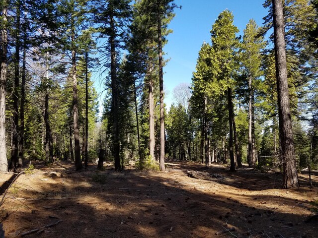 Listing photo 2 for LOT32 Shingle Glen Trl, Shingletown CA 96088