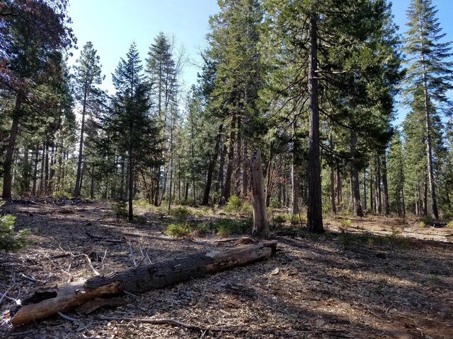 Listing photo 3 for LOT32 Shingle Glen Trl, Shingletown CA 96088