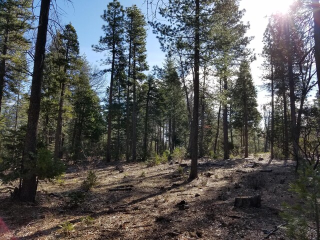 LOT32 Shingle Glen Trl, Shingletown, CA 96088