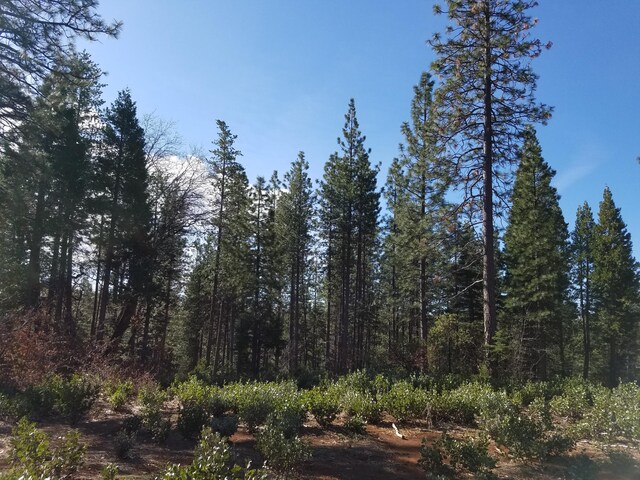 LOT32 Shingle Glen Trl, Shingletown, CA 96088