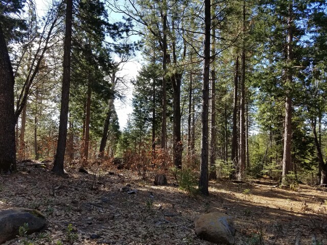 LOT32 Shingle Glen Trl, Shingletown, CA 96088