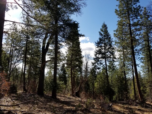 LOT32 Shingle Glen Trl, Shingletown, CA 96088