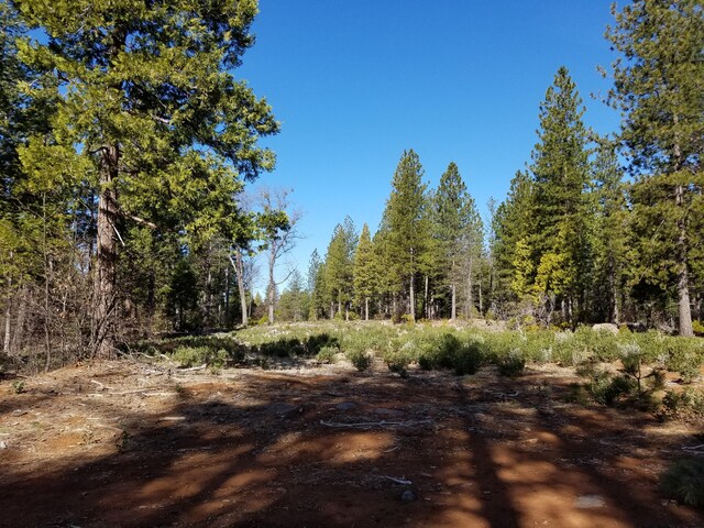 LOT32 Shingle Glen Trl, Shingletown, CA 96088