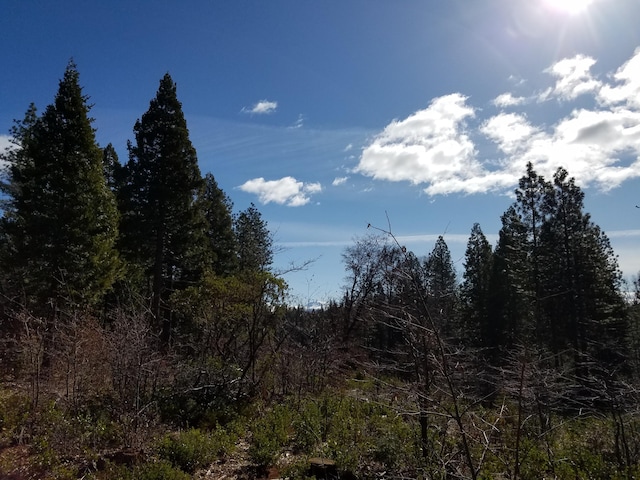 LOT32 Shingle Glen Trl, Shingletown, CA 96088