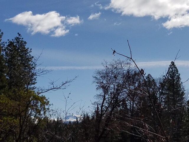 LOT32 Shingle Glen Trl, Shingletown, CA 96088
