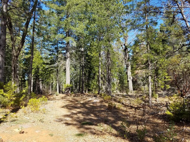 LOT32 Shingle Glen Trl, Shingletown, CA 96088