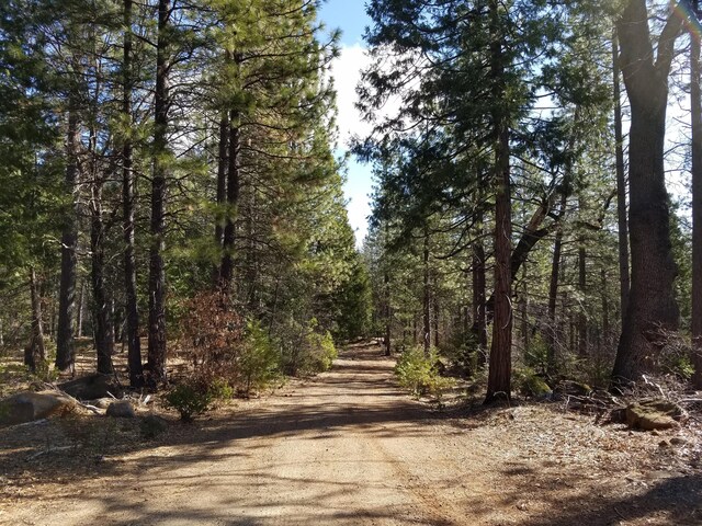 LOT32 Shingle Glen Trl, Shingletown, CA 96088
