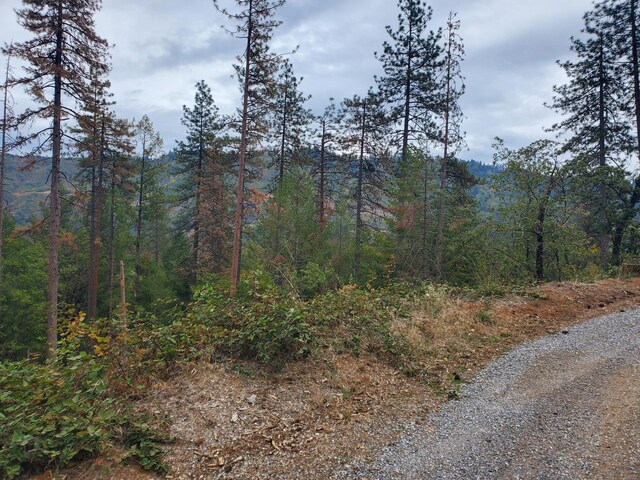 Racoon Dr, Lakehead, CA 96051