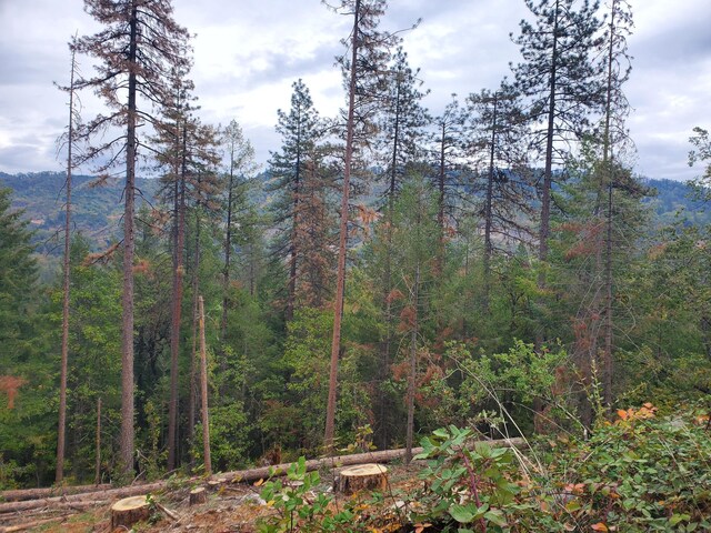 Racoon Dr, Lakehead, CA 96051