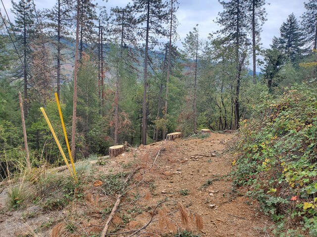 Racoon Dr, Lakehead, CA 96051