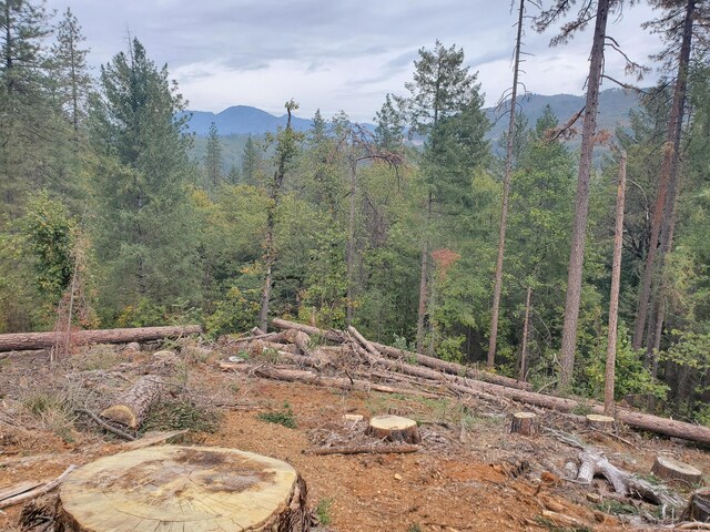 Racoon Dr, Lakehead, CA 96051