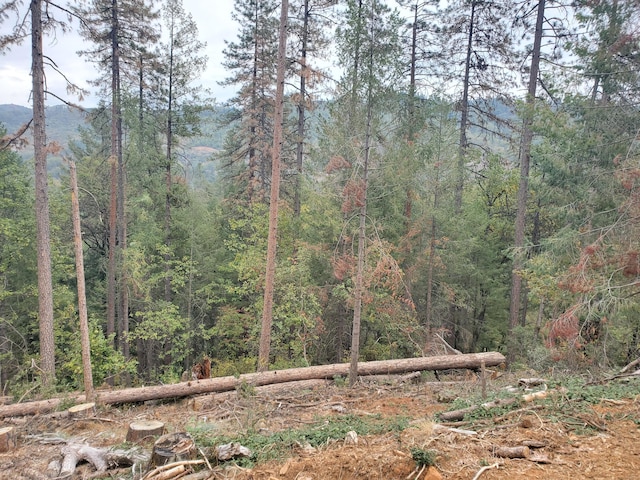 Racoon Dr, Lakehead, CA 96051
