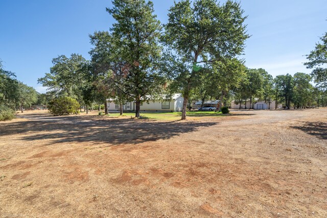 view of yard featuring a shed