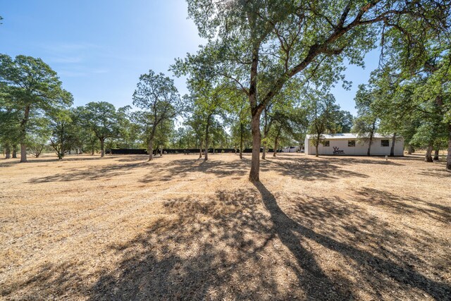 view of yard featuring a rural view