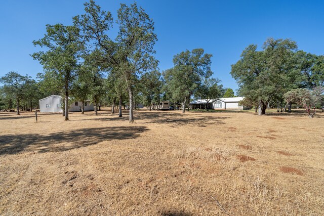 view of yard featuring a storage shed