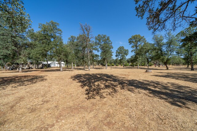 view of yard featuring a rural view