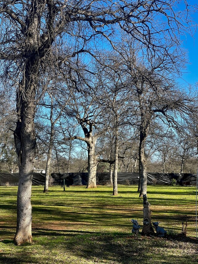 view of home's community with a yard