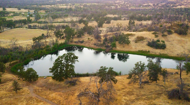 drone / aerial view featuring a rural view and a water view