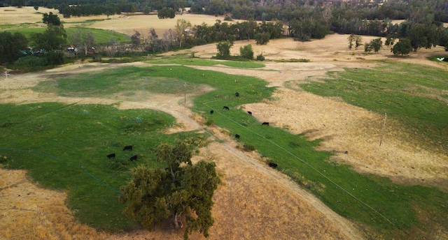 birds eye view of property featuring a rural view