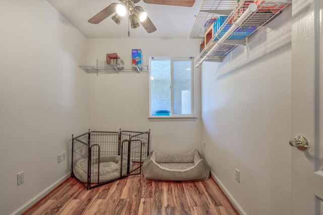 walk in closet with ceiling fan and hardwood / wood-style flooring