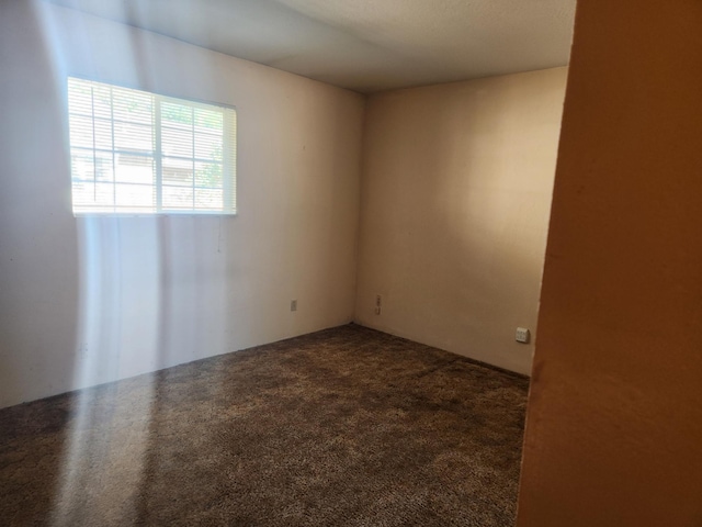 unfurnished room with carpet flooring