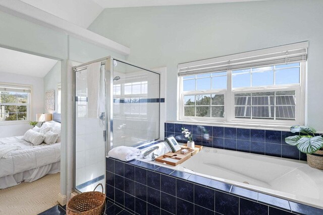 bathroom featuring lofted ceiling, plenty of natural light, and plus walk in shower