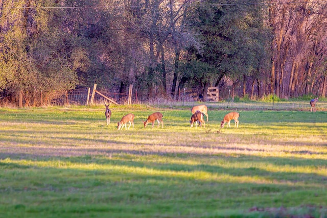 view of community