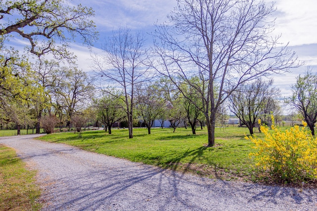 view of home's community