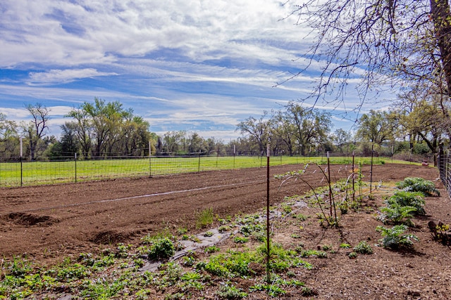 view of yard featuring a rural view