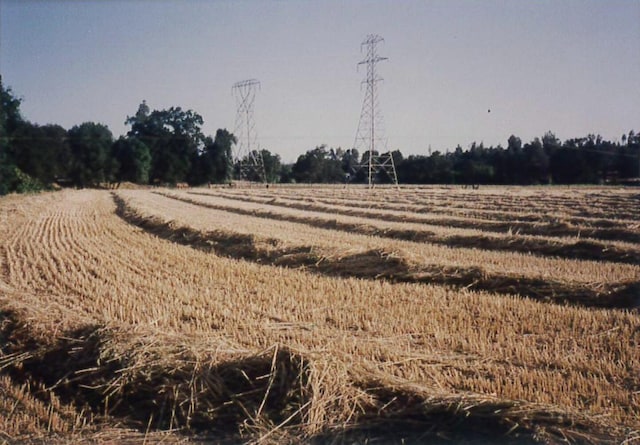 view of nature featuring a rural view