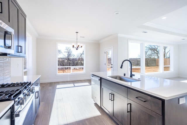 kitchen featuring an island with sink, appliances with stainless steel finishes, sink, and crown molding