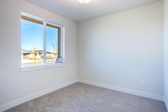 spare room with carpet floors