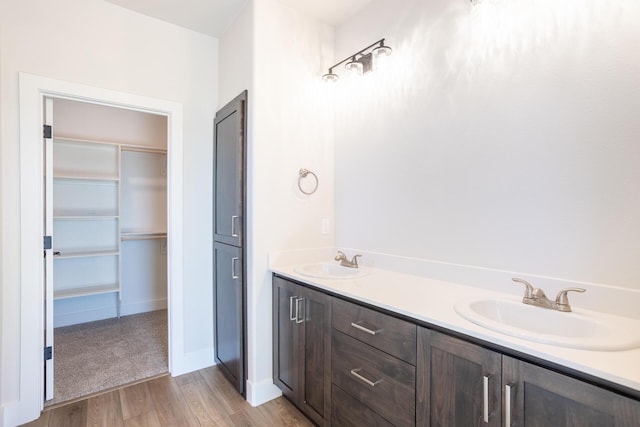 bathroom featuring hardwood / wood-style flooring and vanity