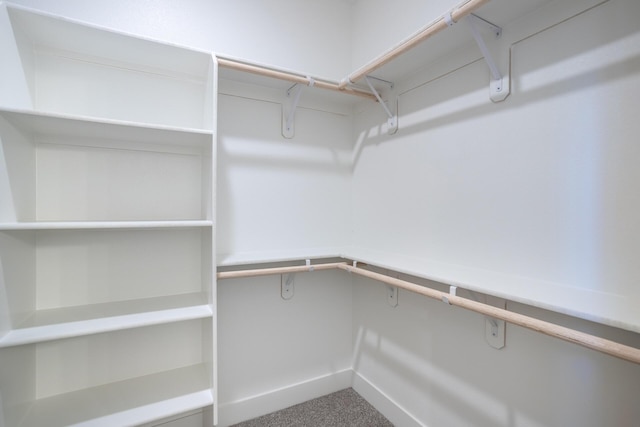 walk in closet featuring carpet flooring