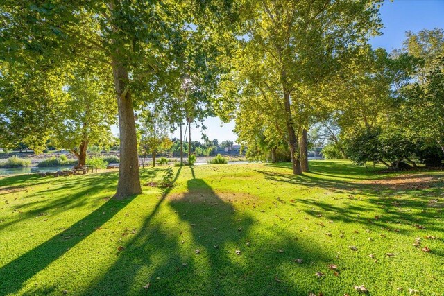 view of community featuring a yard