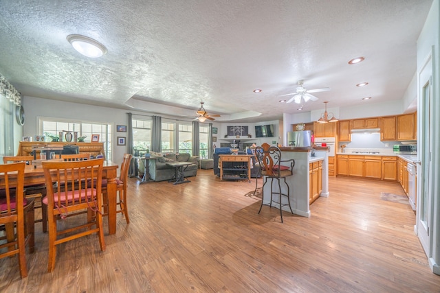 dining area featuring light wood-type flooring, ceiling fan, and a textured ceiling