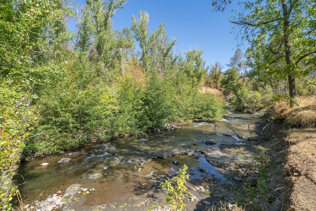 view of local wilderness