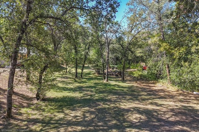 view of local wilderness