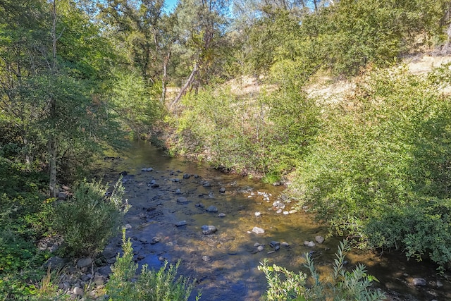 view of local wilderness