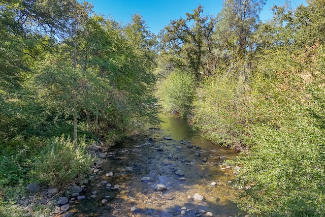 view of nature