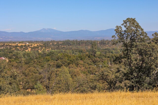 107XX Cheshire Way, Palo Cedro CA, 96073 land for sale