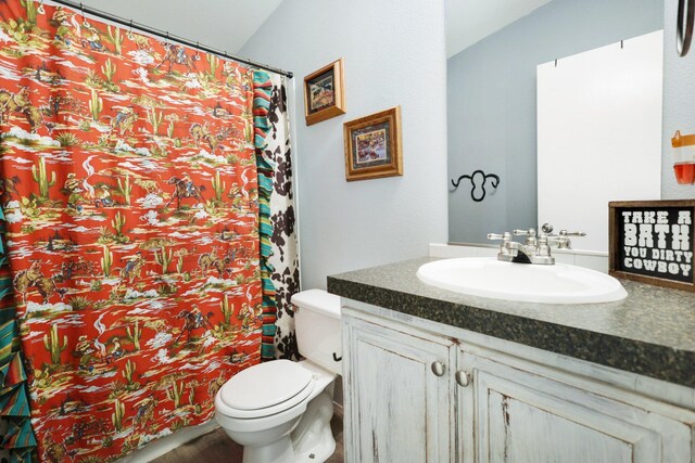 bathroom featuring vaulted ceiling, toilet, and vanity