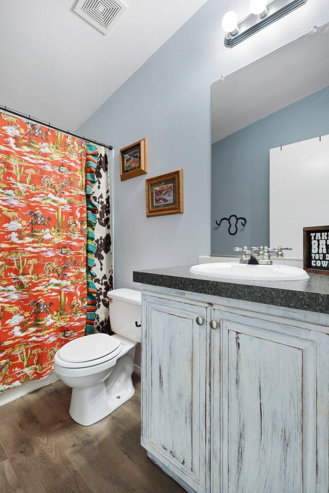 bathroom with vanity, toilet, and hardwood / wood-style floors