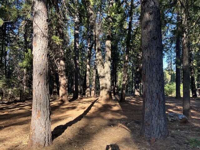 Alward Way, Shingletown, CA 96088