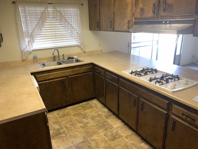 kitchen with a sink, under cabinet range hood, light countertops, dark brown cabinets, and white gas stovetop